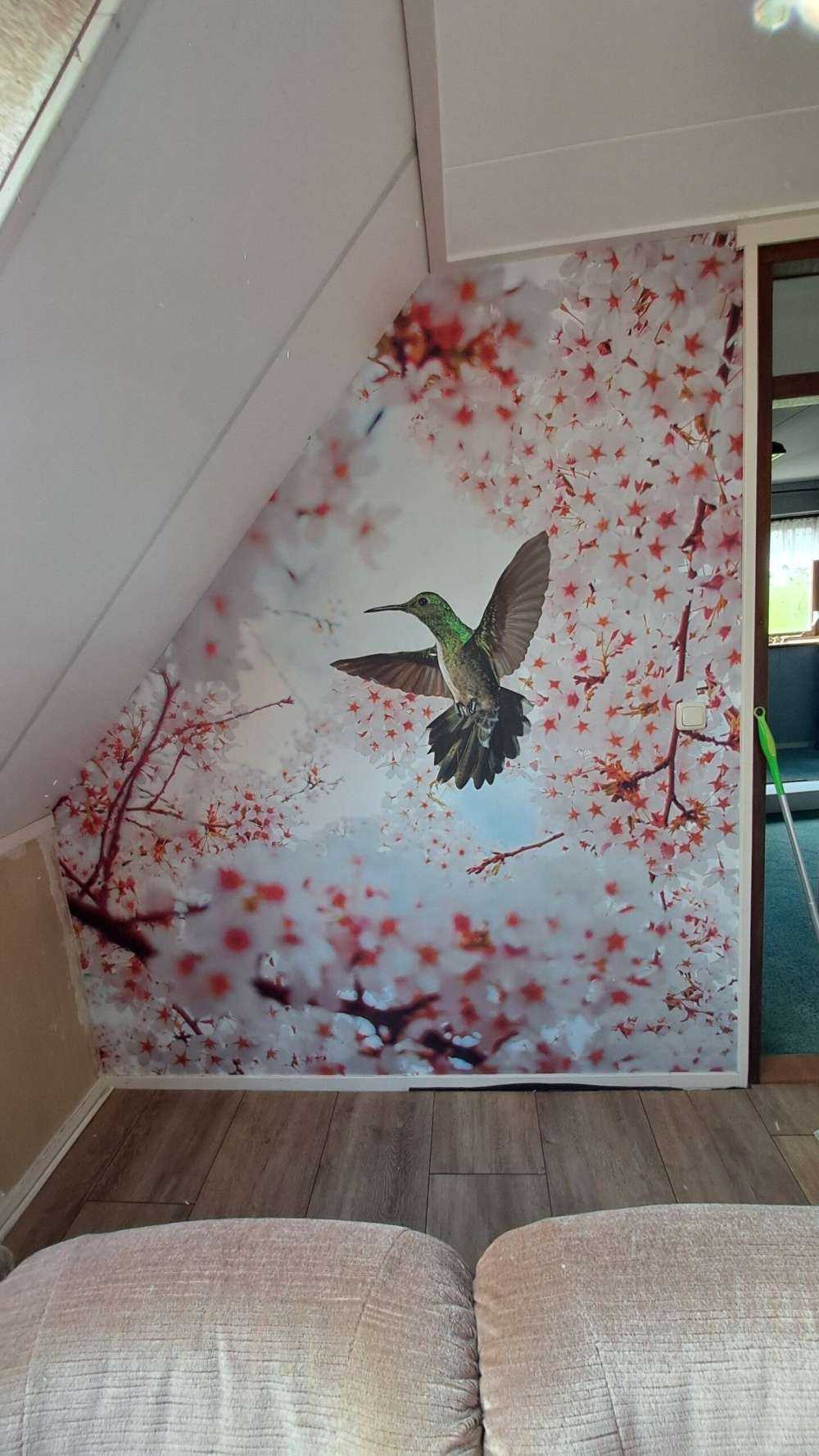 Colibrì tra i fiori