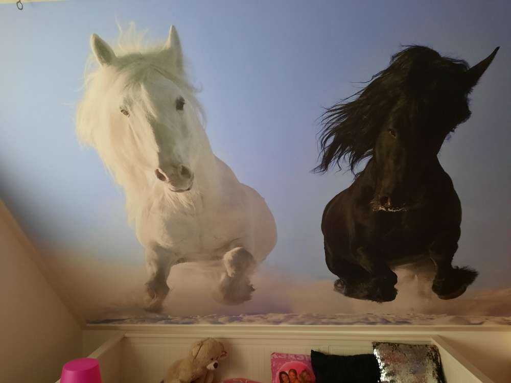 Bianco e cavallo nero