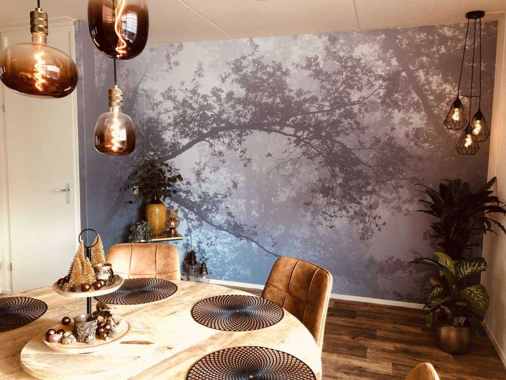 Una bella foresta nella nebbia