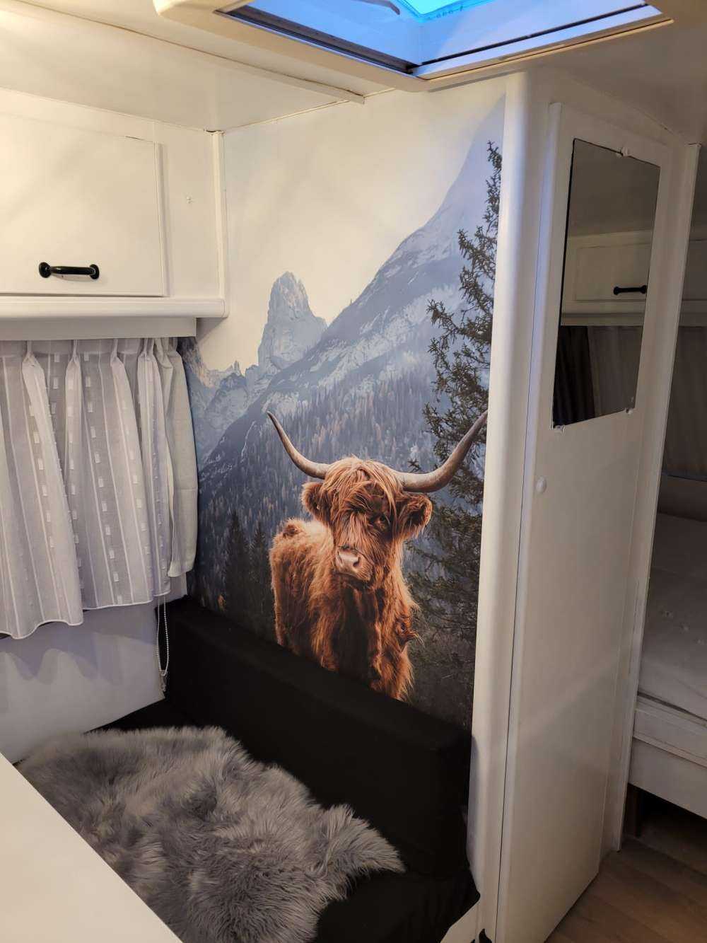 Highlander scozzese tra gli alberi