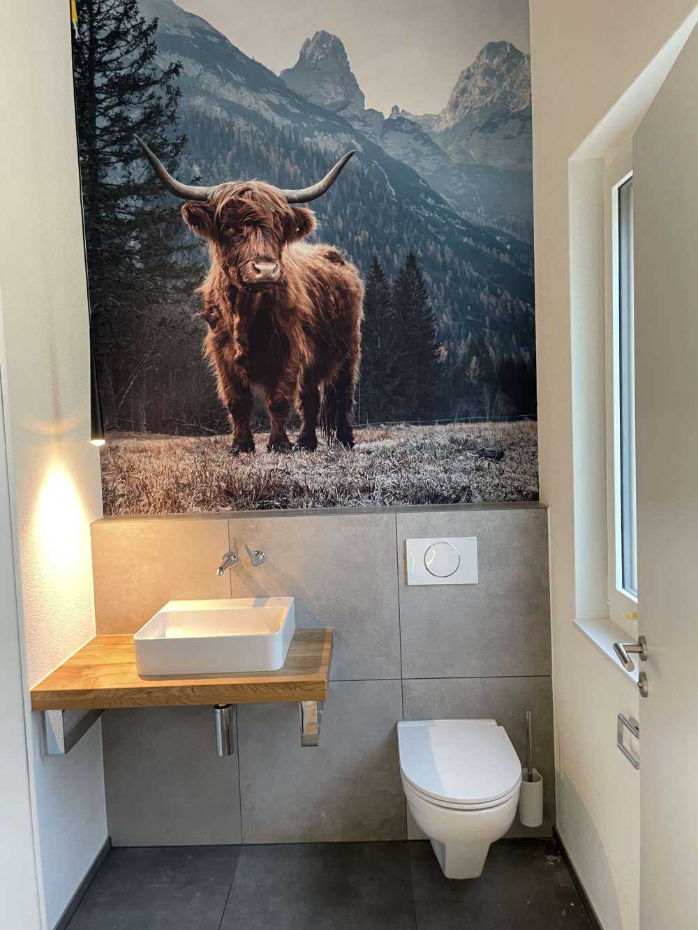 Highlander scozzese tra gli alberi