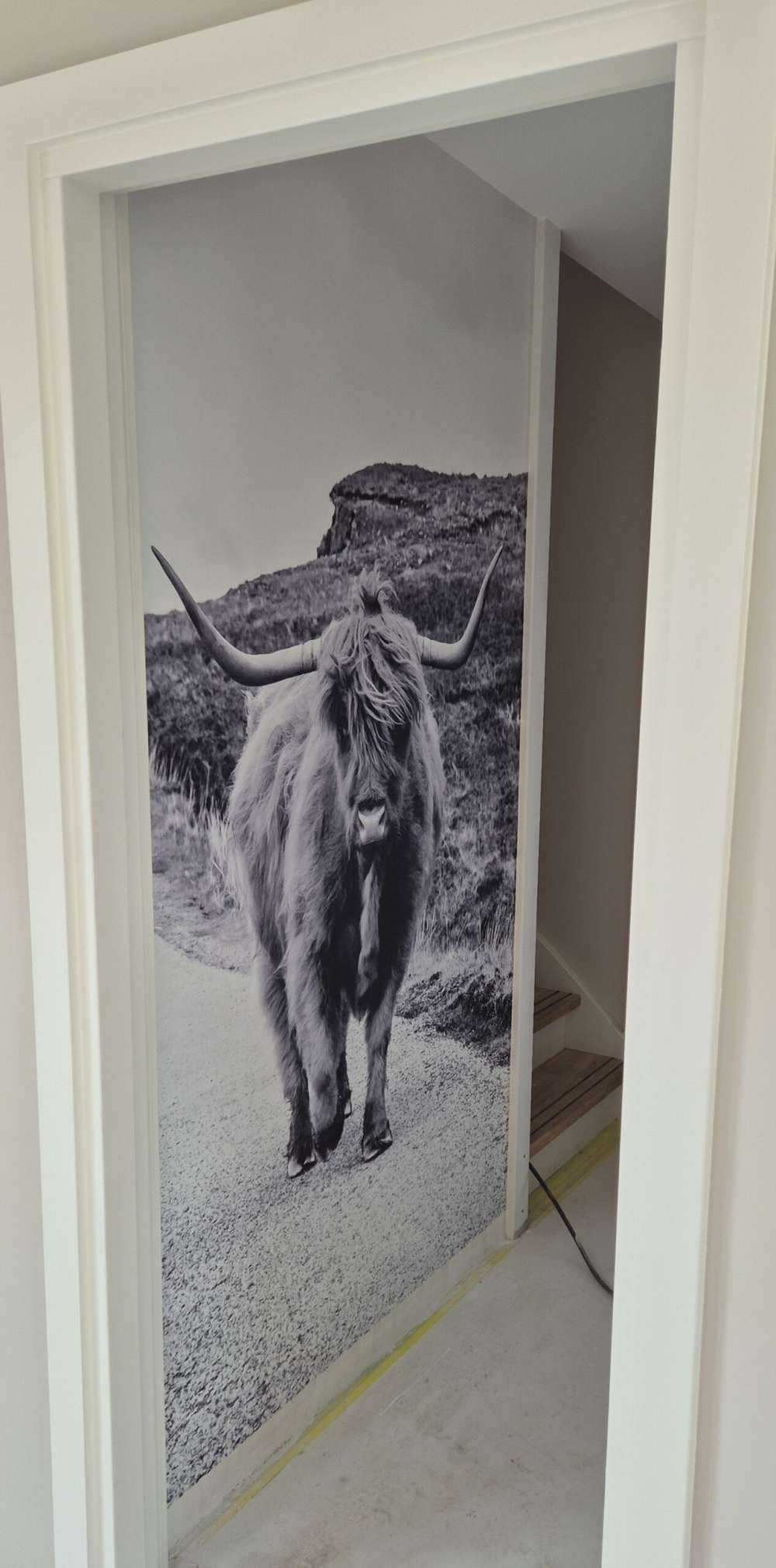 Highlander scozzese su una strada