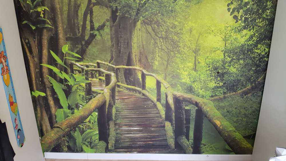 Ponte di legno attraverso una giungla verde