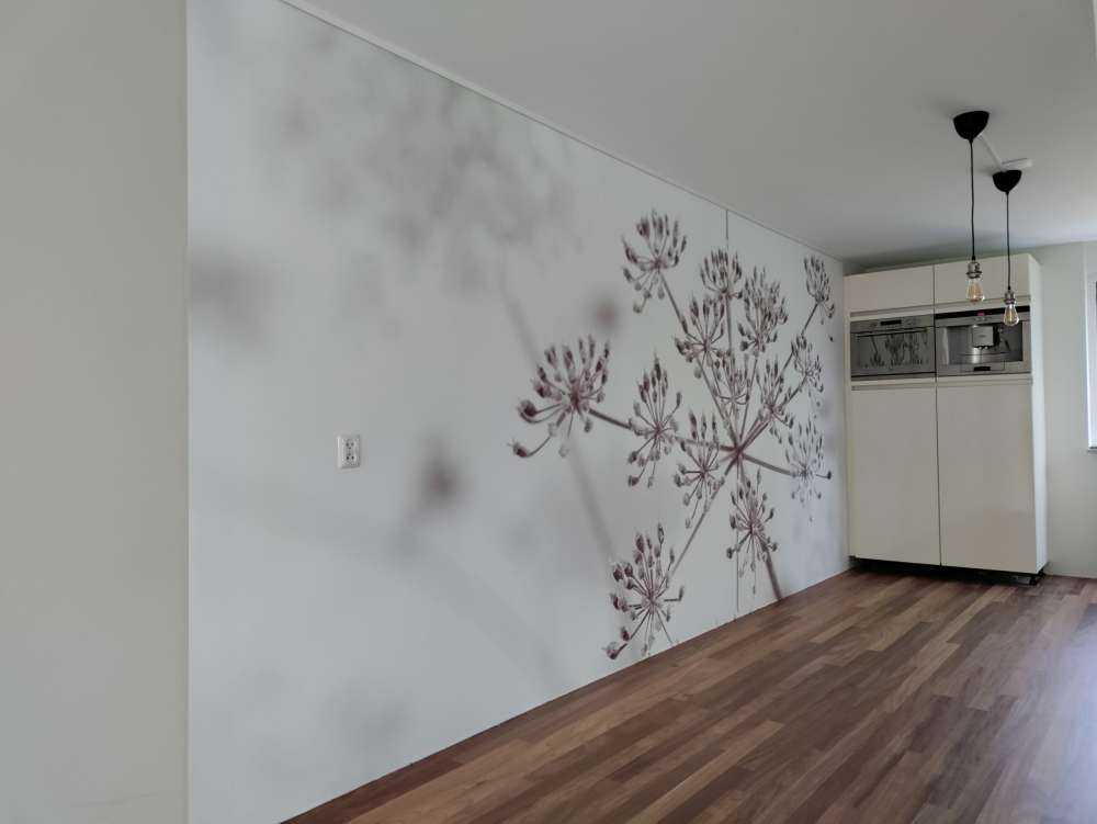 Prezzemolo di mucca ravvicinato