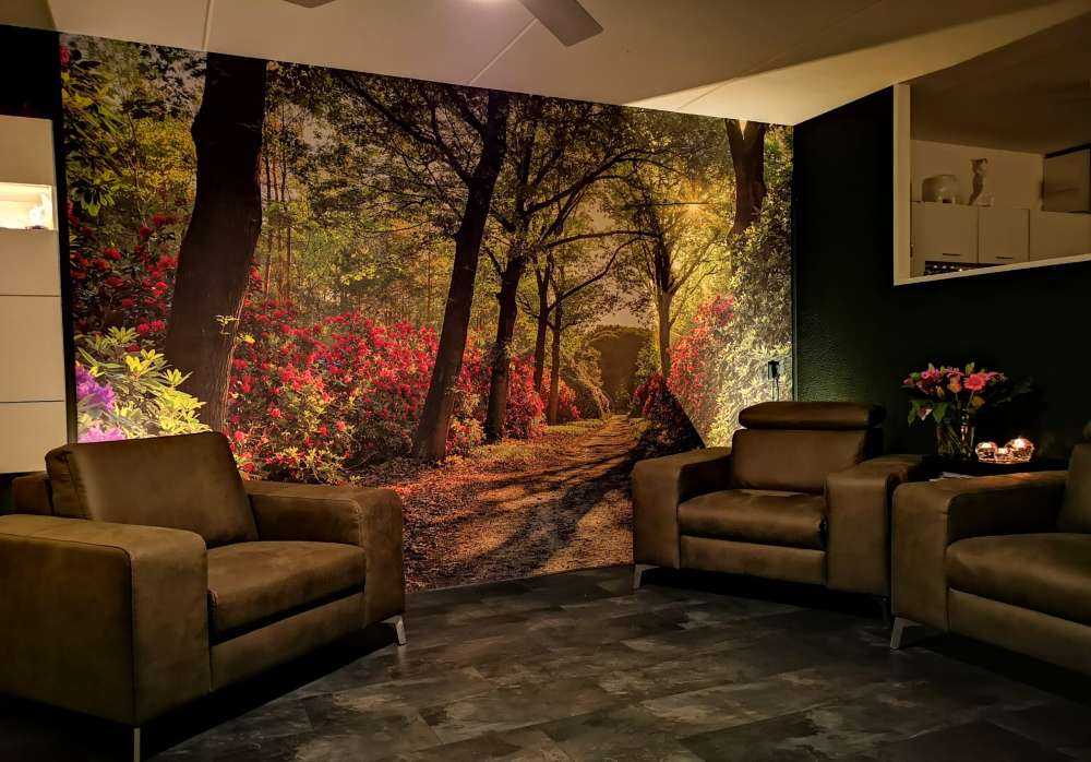 L'alba al sentiero con i rododendri