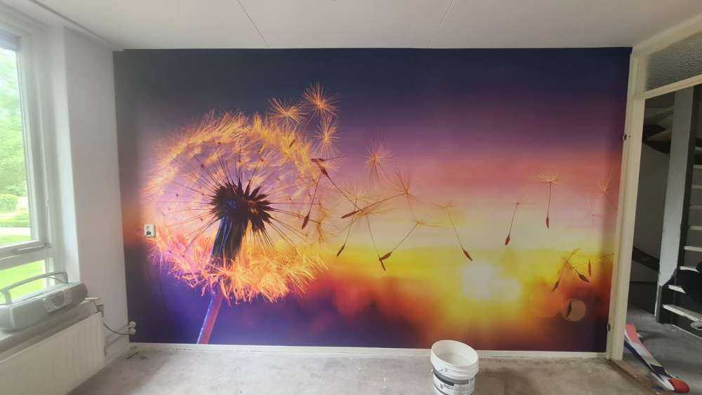 Tarassaco al tramonto