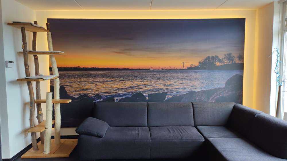 L'inizio della giornata