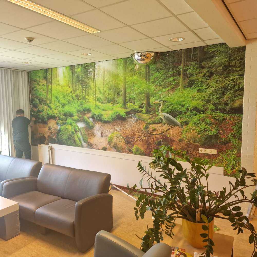 Incantevole paesaggio forestale