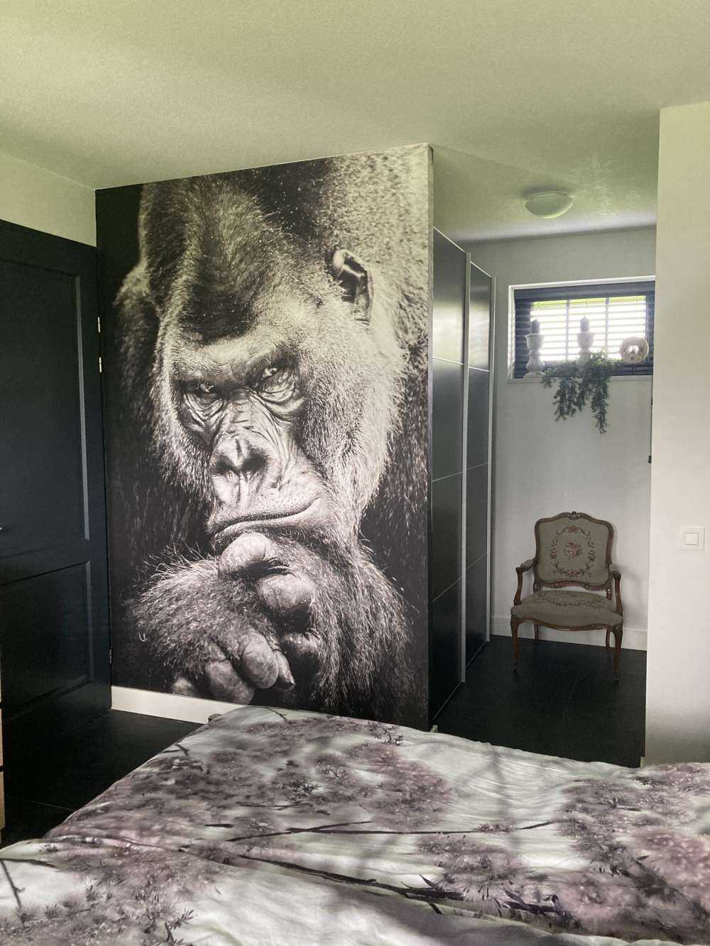 Immagine ravvicinata di un gorilla