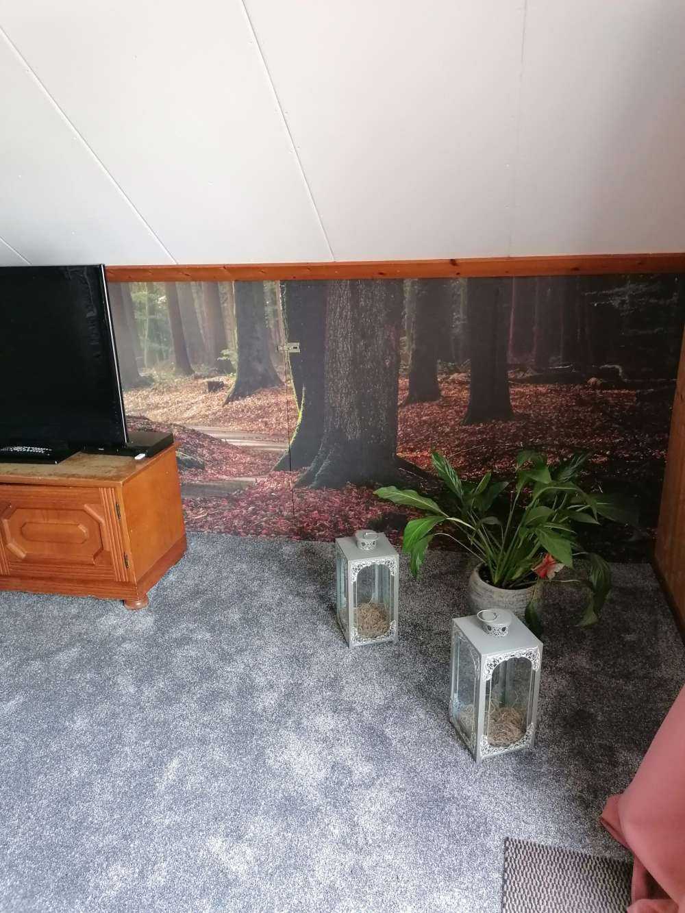 Raggi di sole al percorso attraverso la foresta