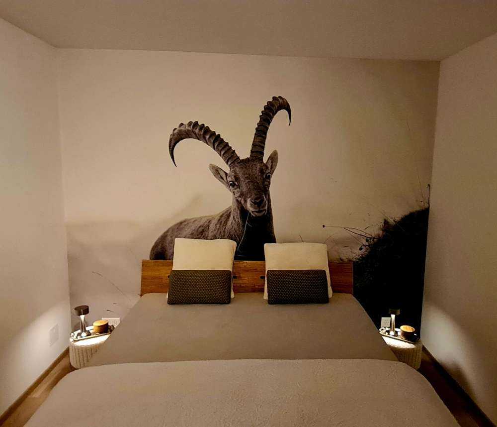 Capricorno in montagna