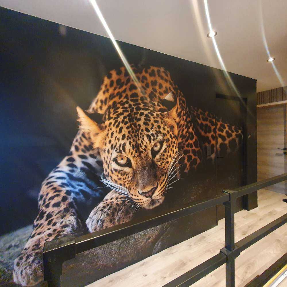 Pantera nella foresta