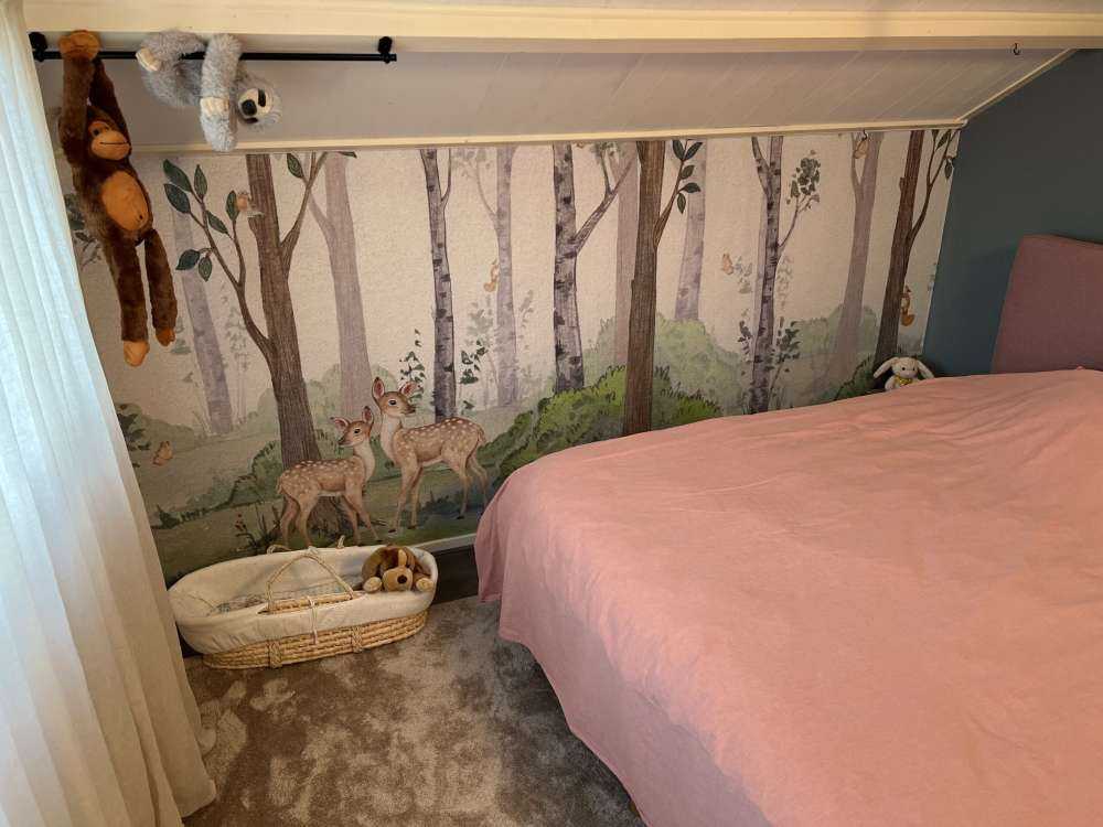 Animali nella natura