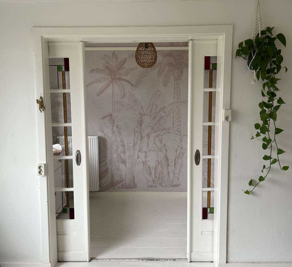 Elefanti grigio scuro