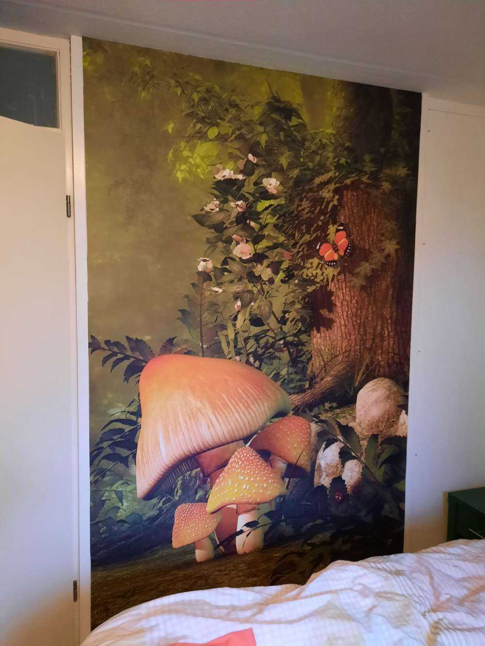 Il mondo delle fiabe