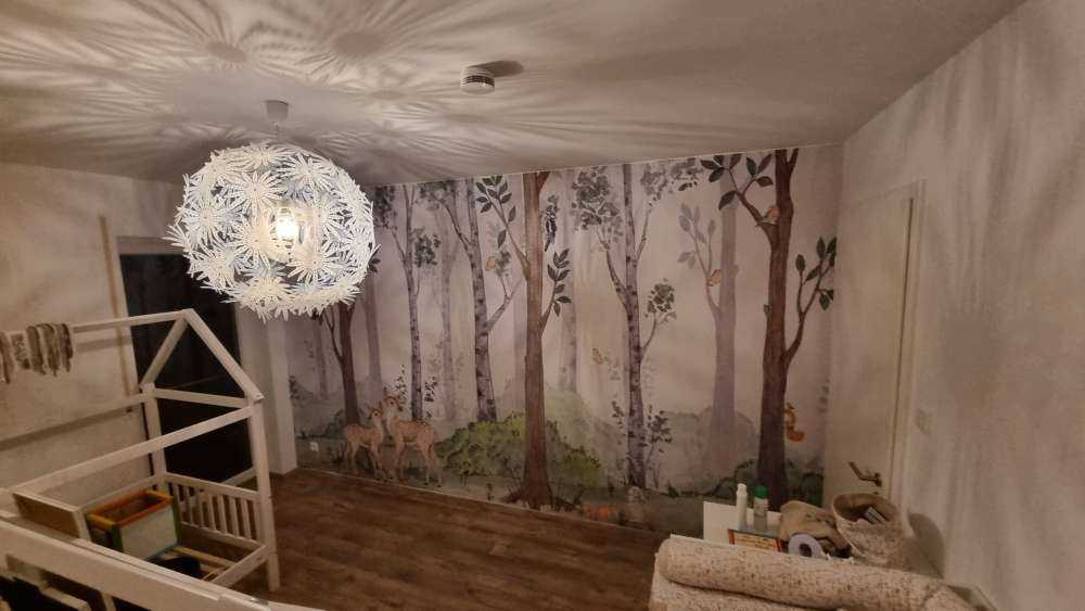 Animali nella natura