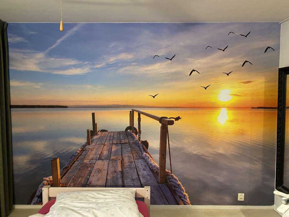 Uccelli sopra il mare