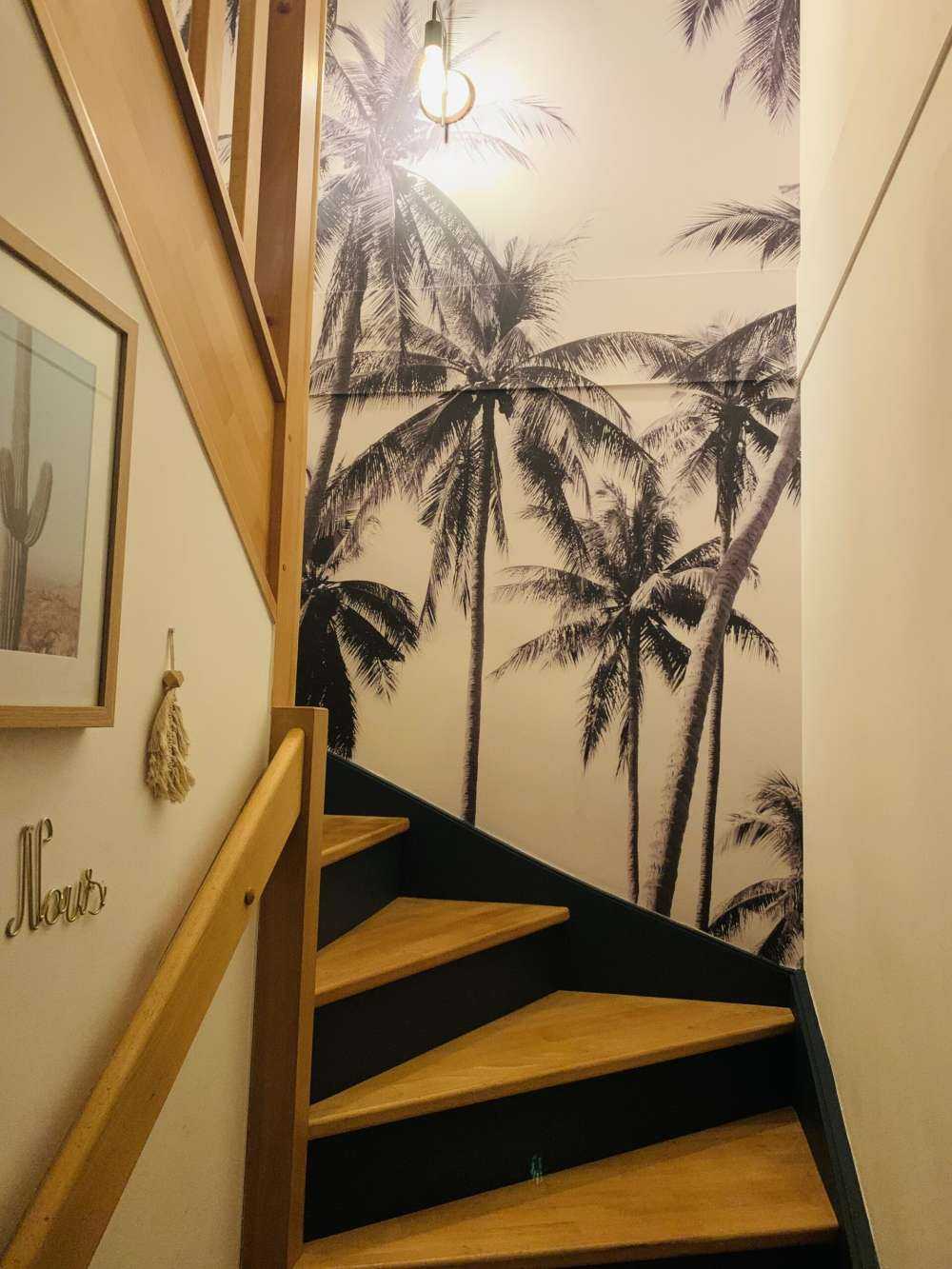 Palme in bianco e nero