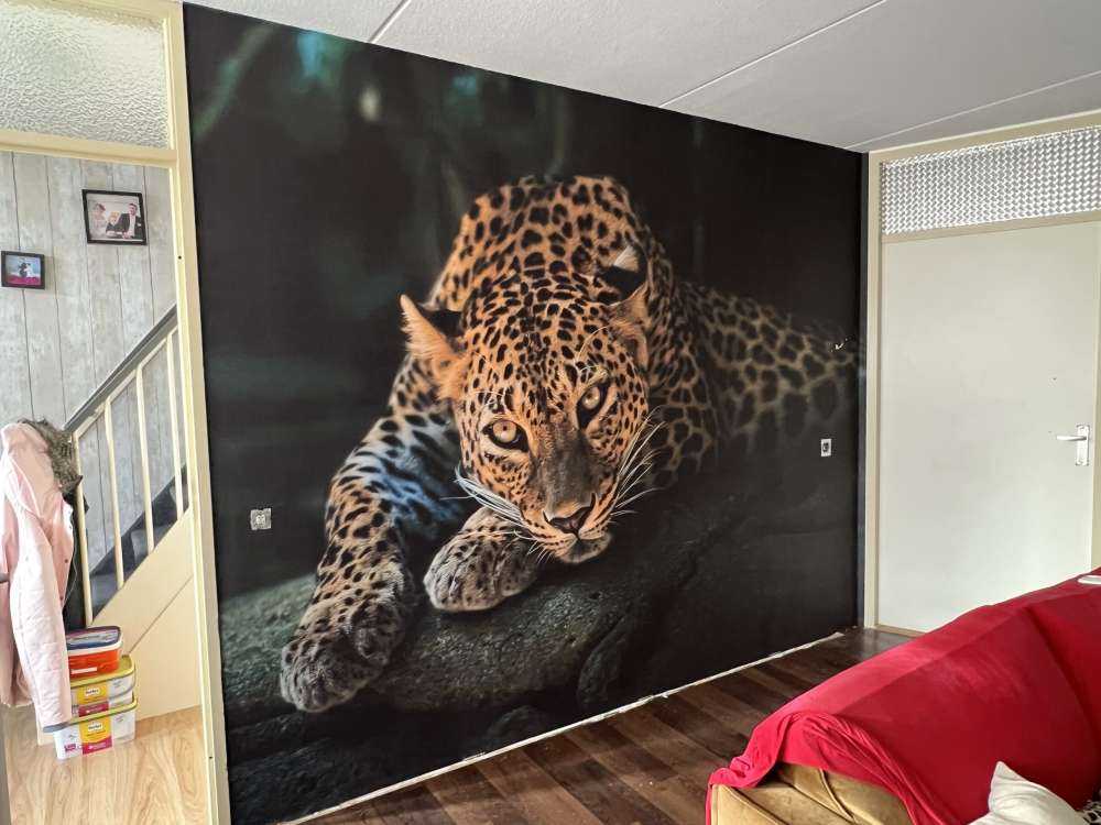 Pantera nella foresta