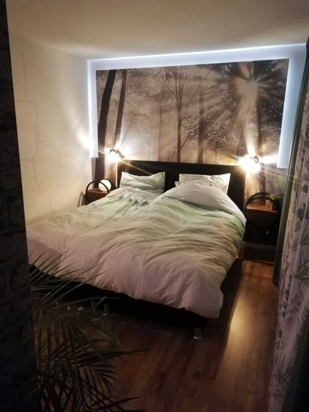 Foresta con la nebbia