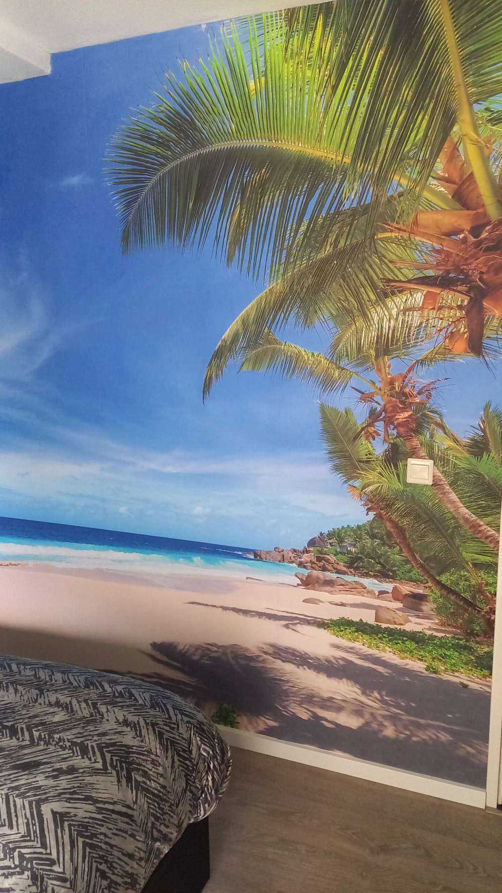 Spiaggia tropicale con palma