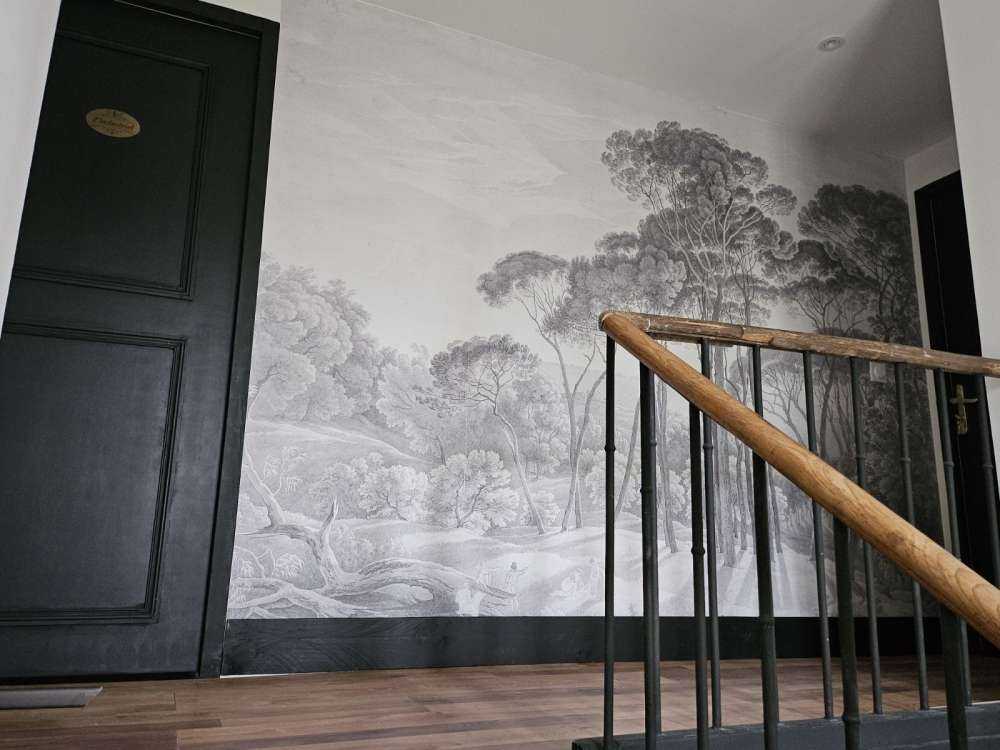 Paesaggio forestale vicino a Roma con il sole al tramonto