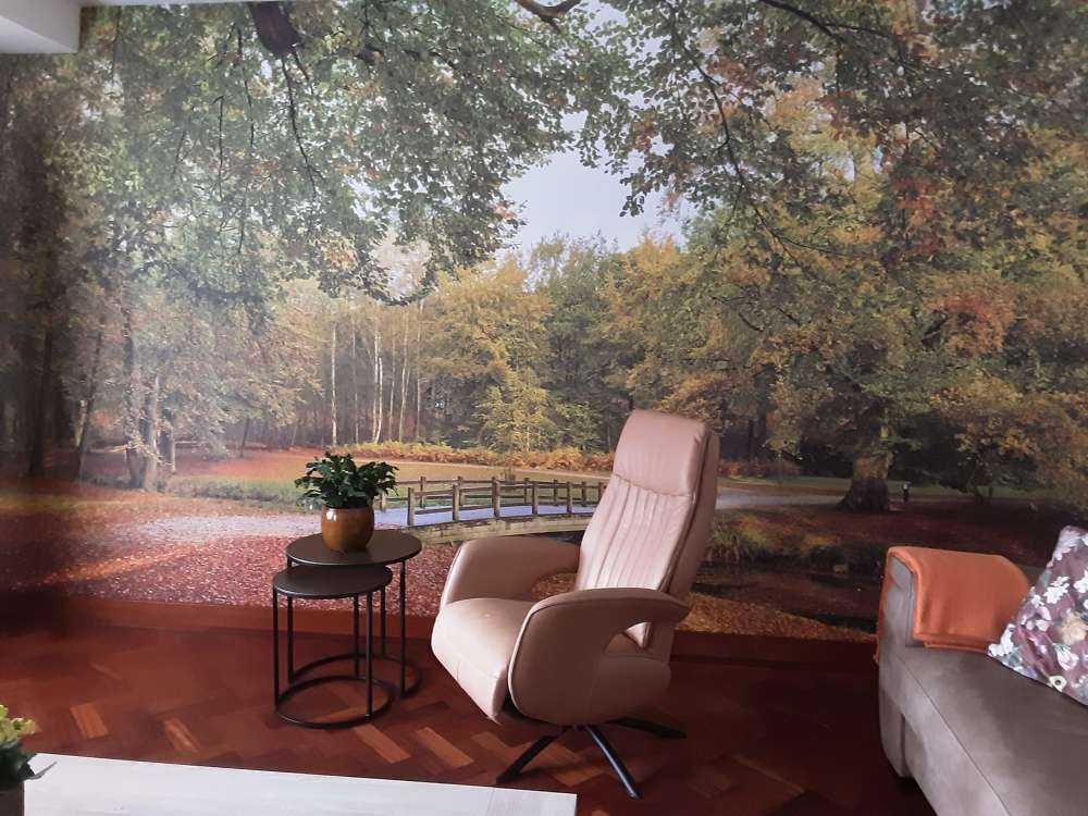 Ponte in una grande foresta