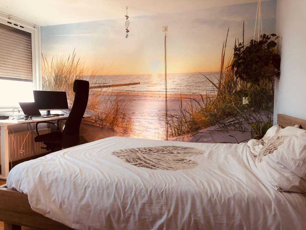 Spiaggia di dune con tramonto