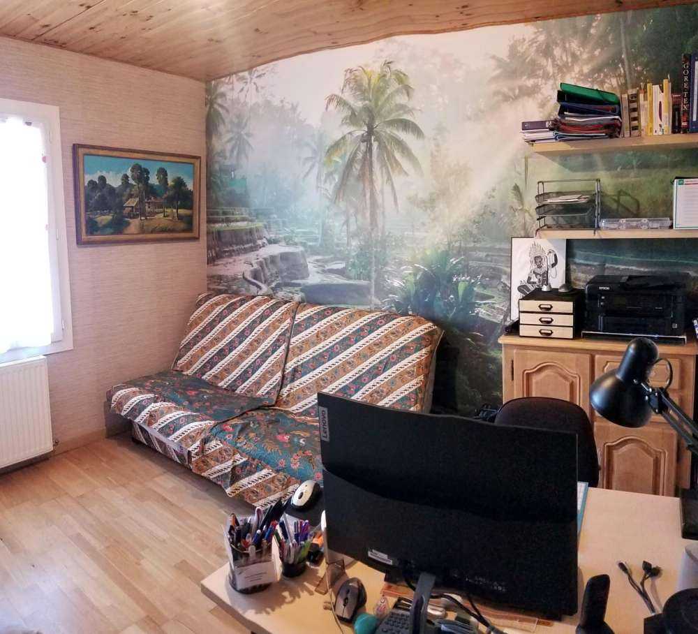 Campi di riso nella giungla