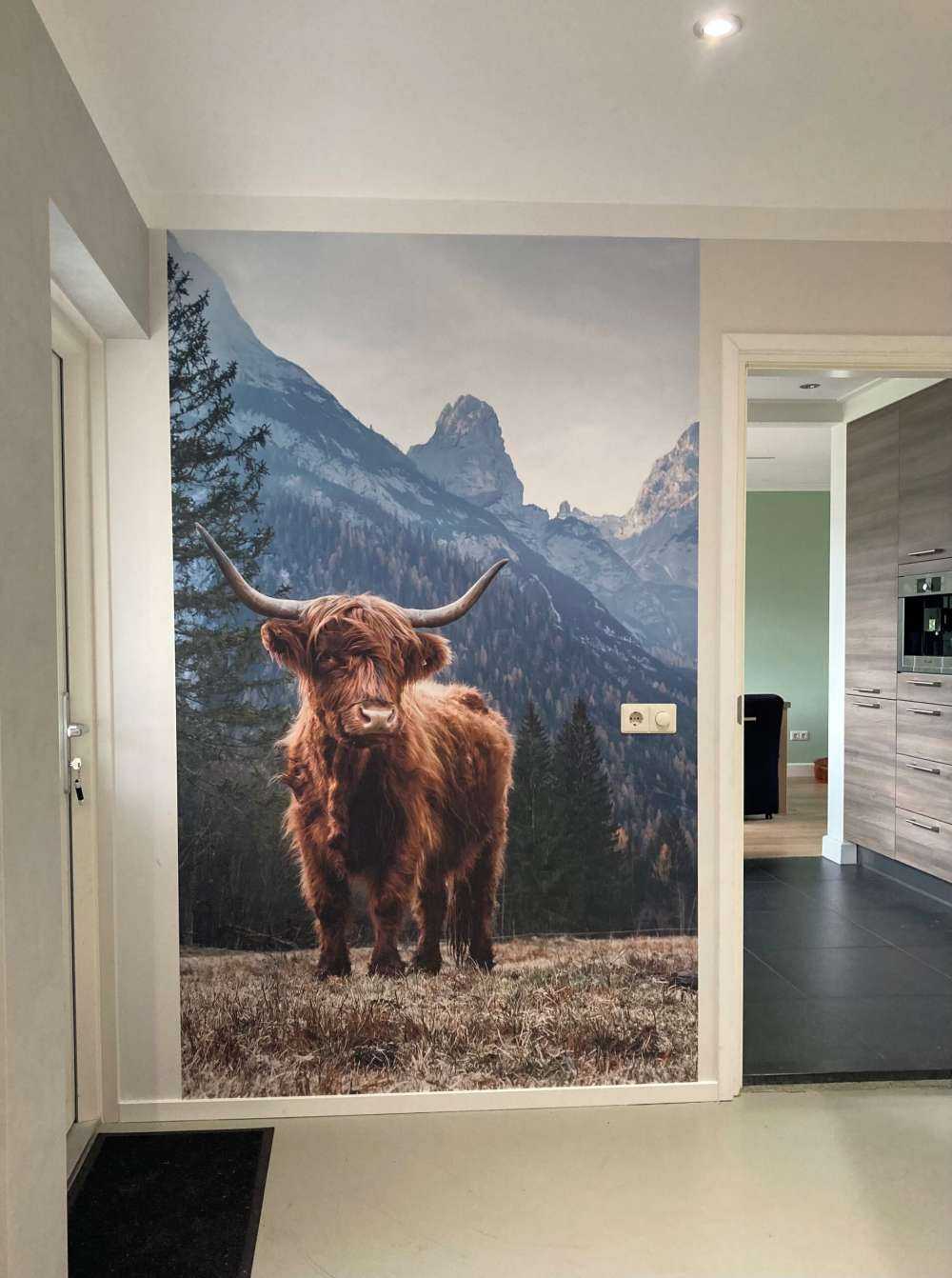 Highlander scozzese tra gli alberi