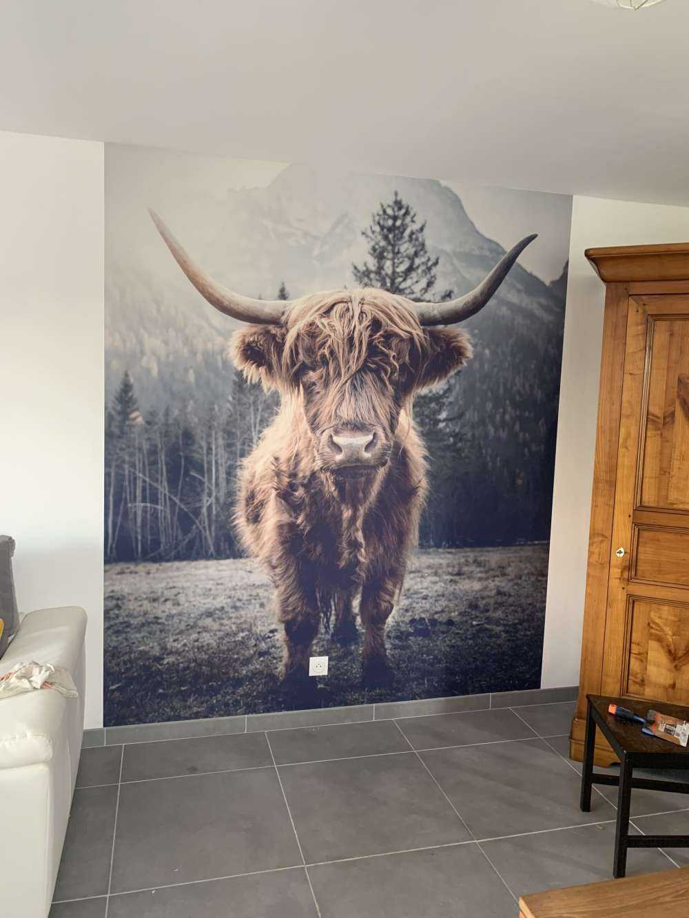 Highlander scozzese vicino alla foresta