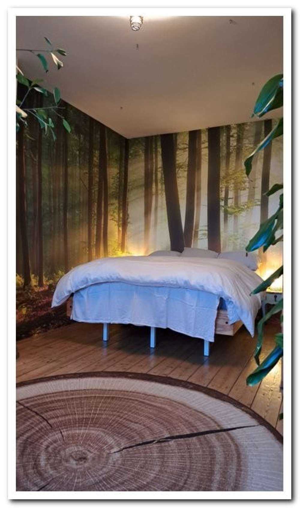 Il sole del mattino tra gli alberi