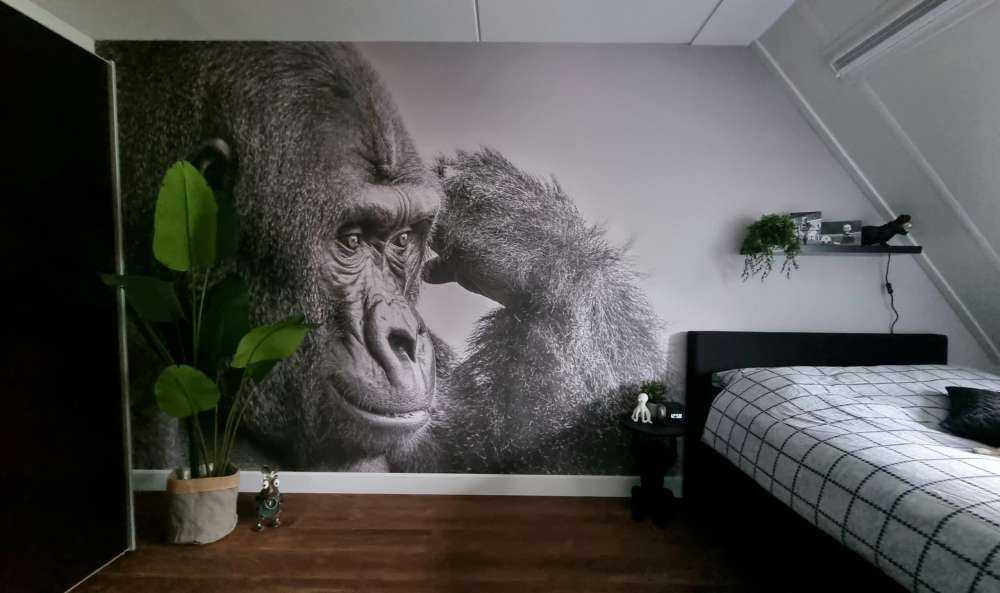 Gorilla bianco e nero