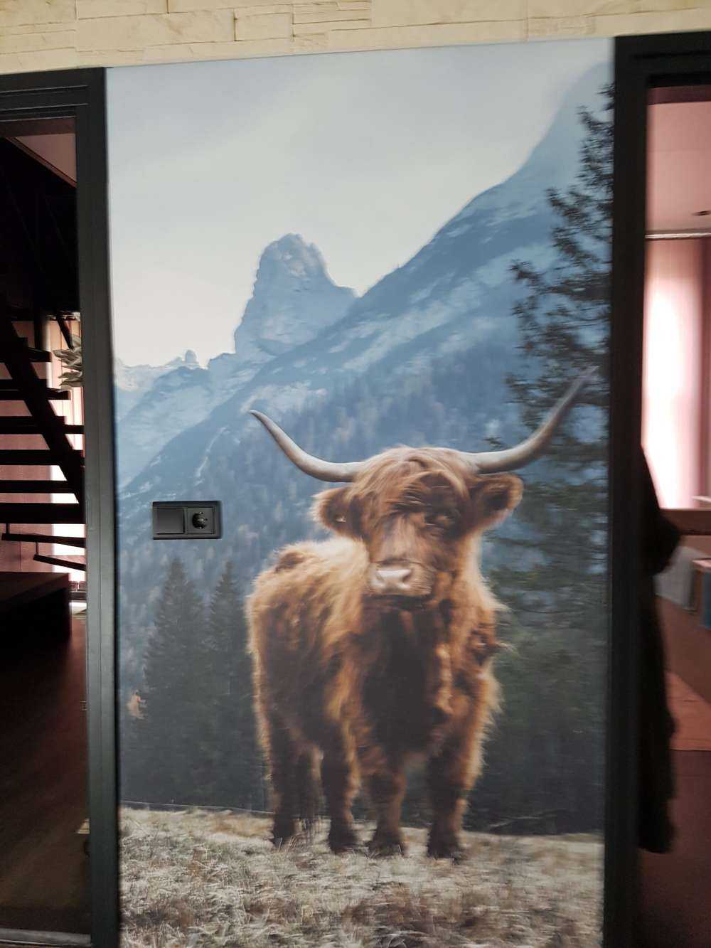 Highlander scozzese tra gli alberi