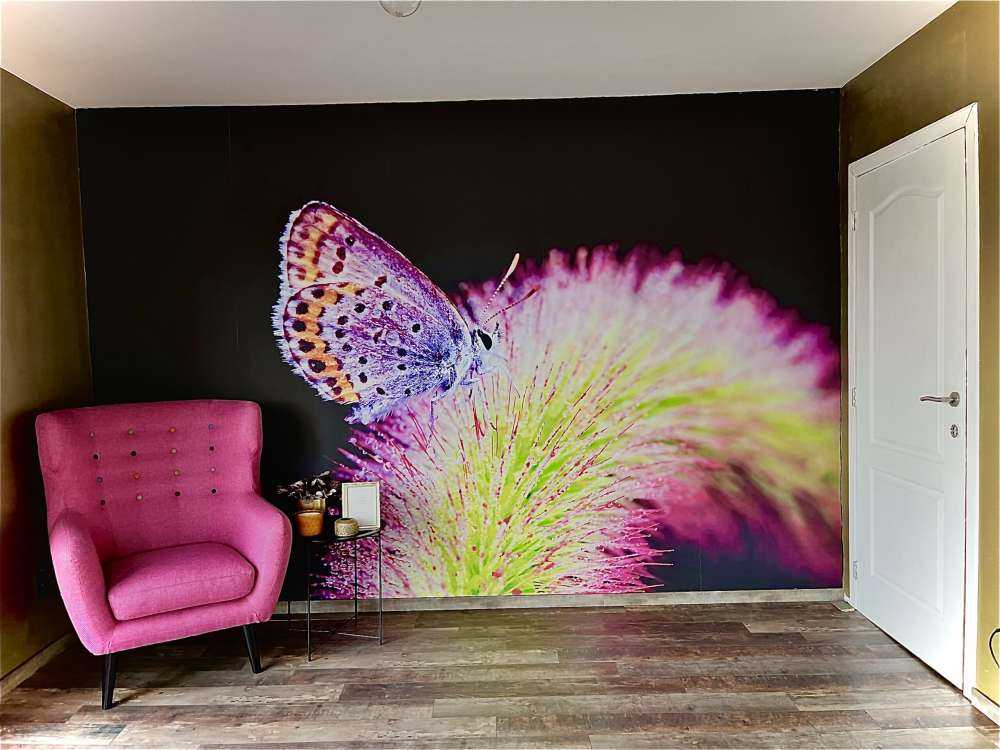 Farfalla rossa su fiore