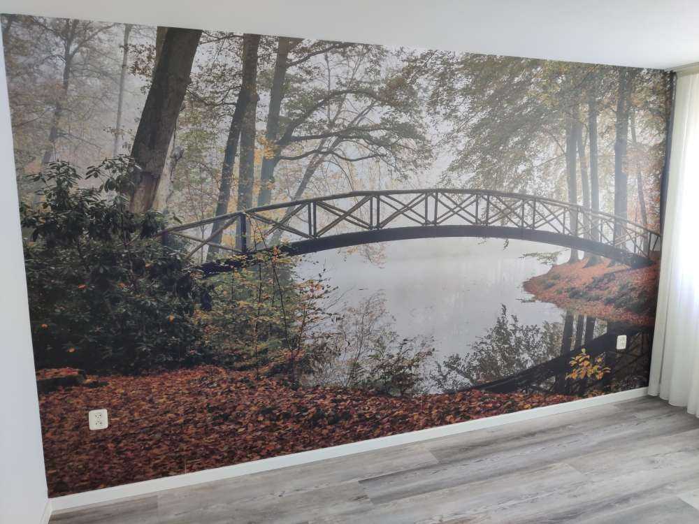 Ponte tra gli alberi