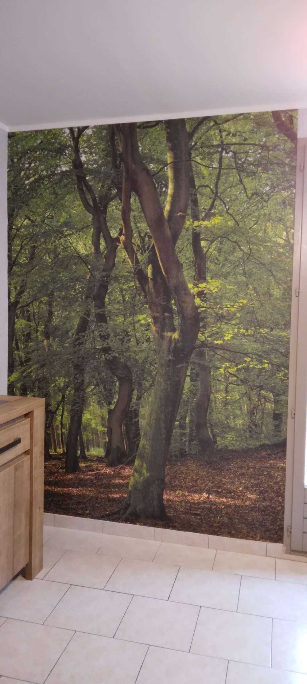 Alberi con foglie verdi 