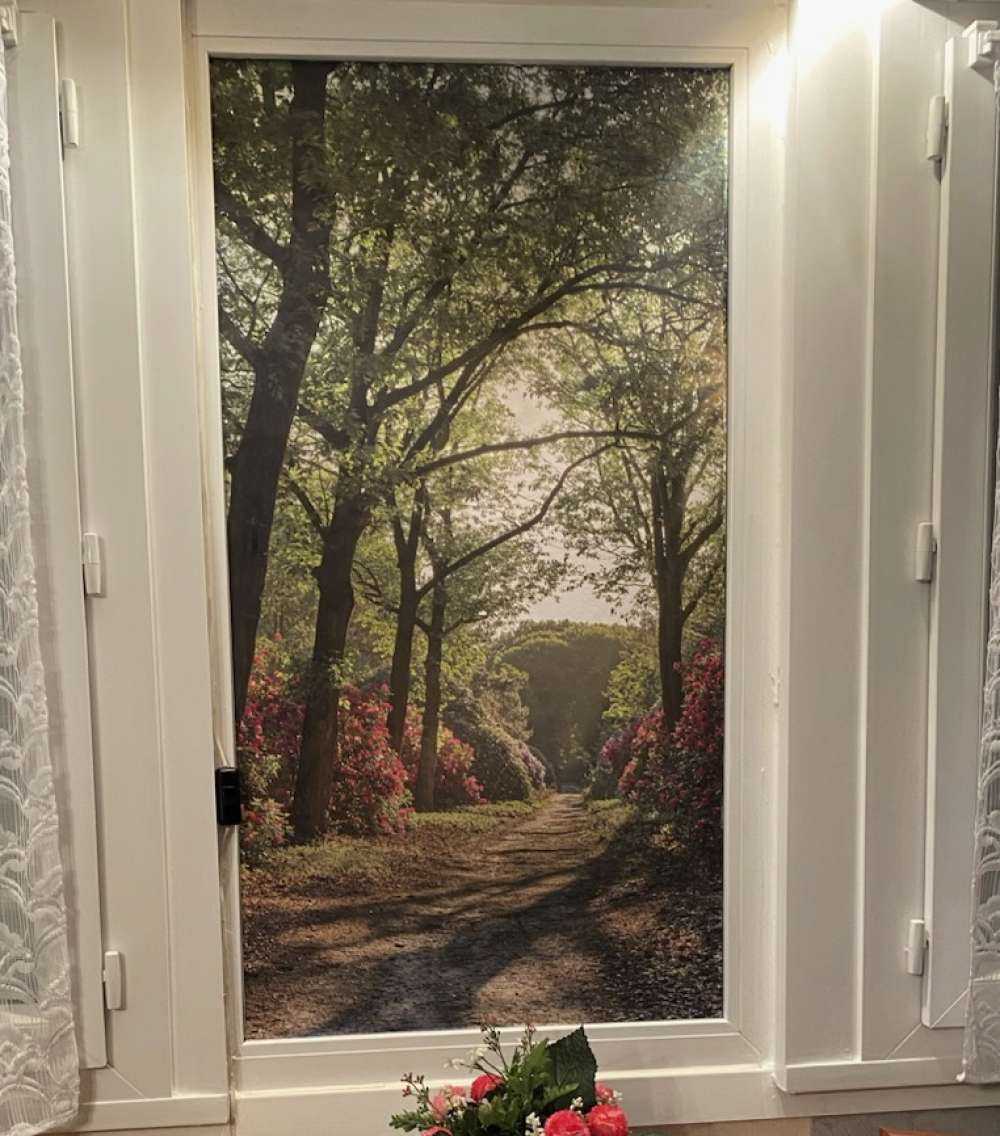 L'alba al sentiero con i rododendri