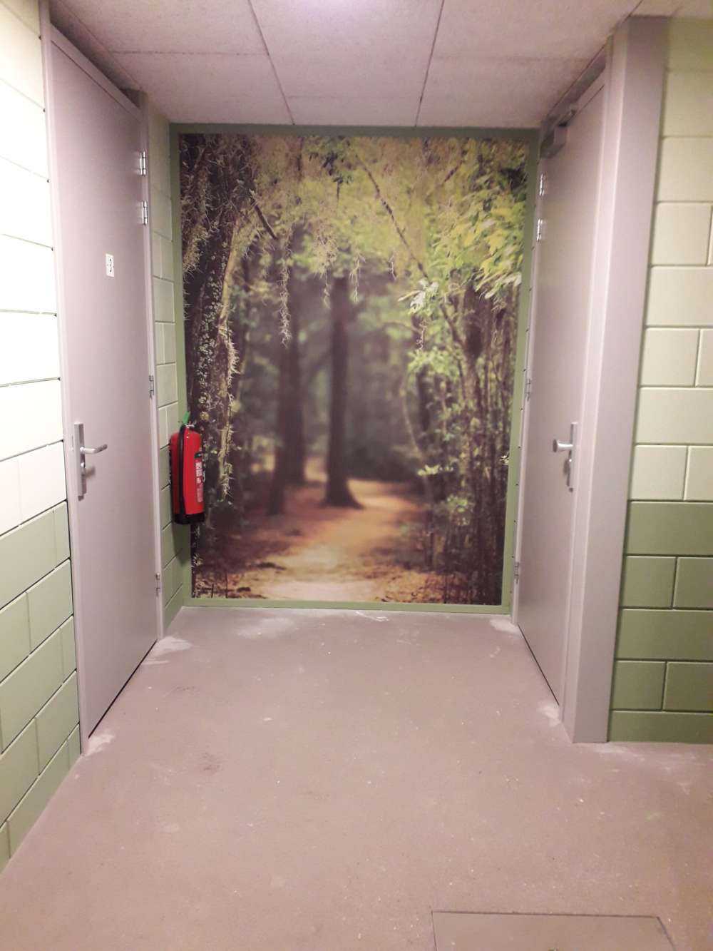 Foresta spagnola piena di muschio