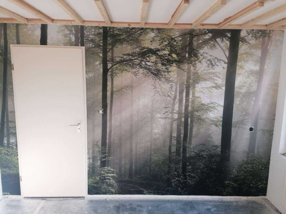 Foresta verde nella nebbia