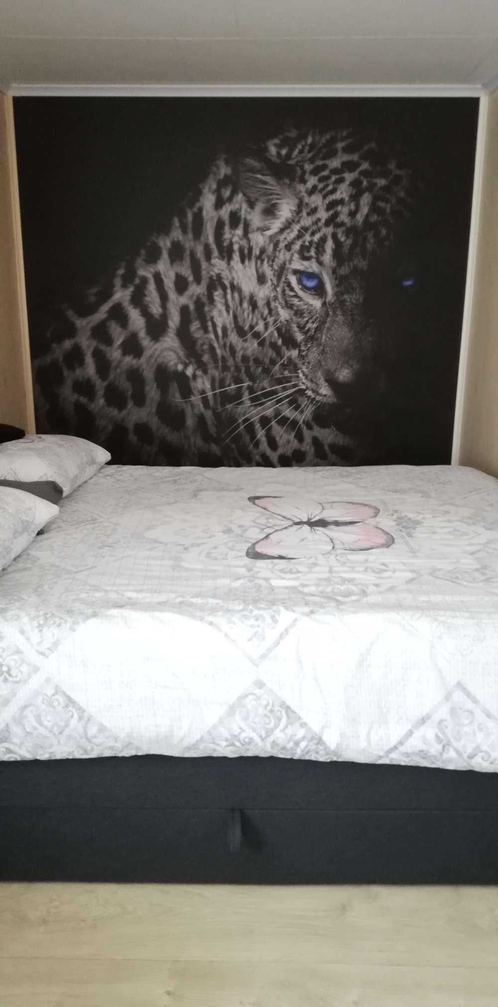 Leopardo su sfondo nero