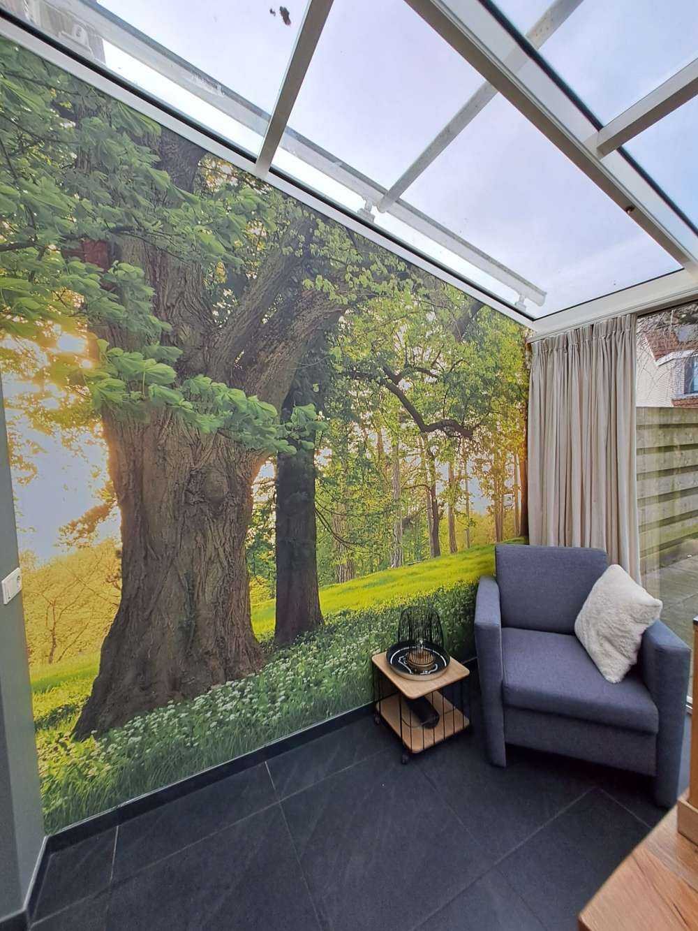 Spazio aperto nella foresta