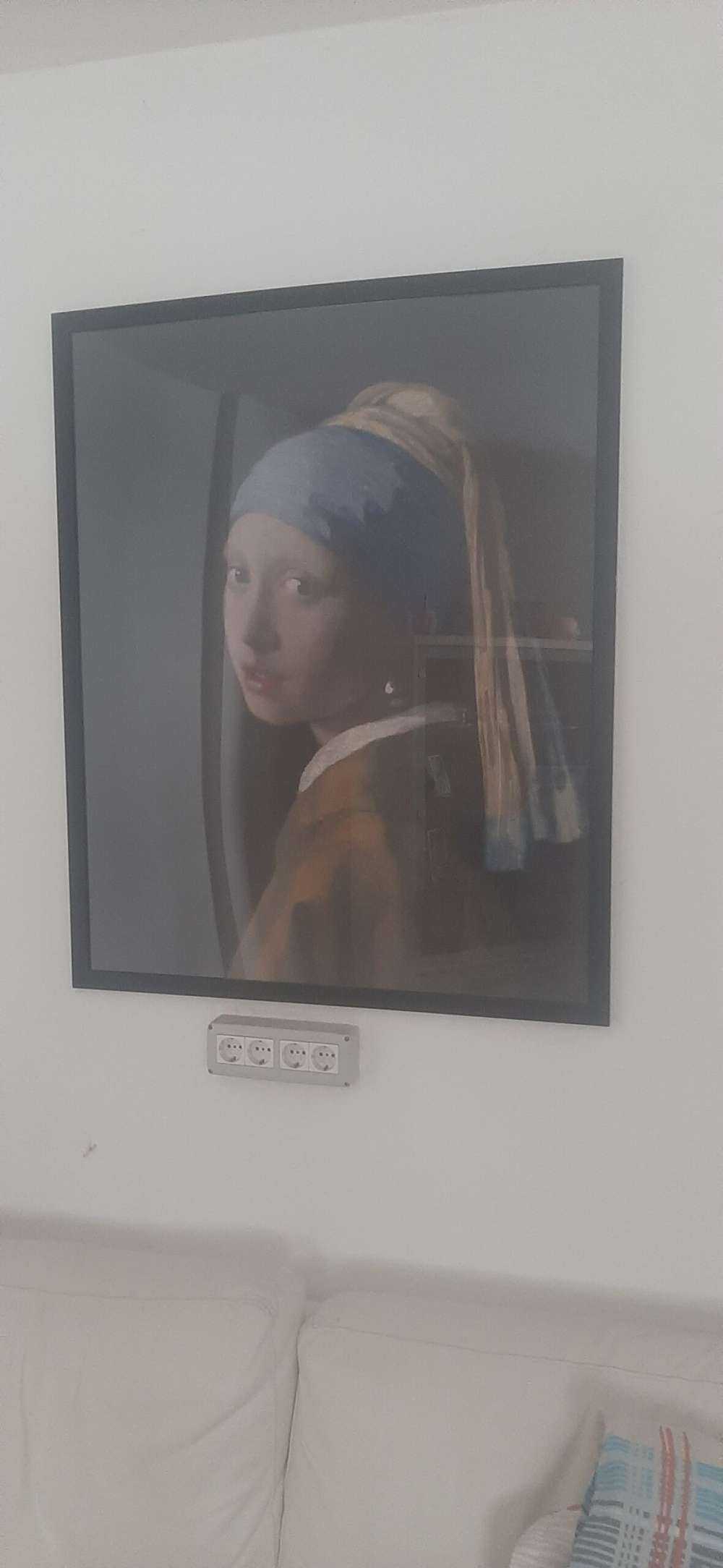 Ragazza con la perla