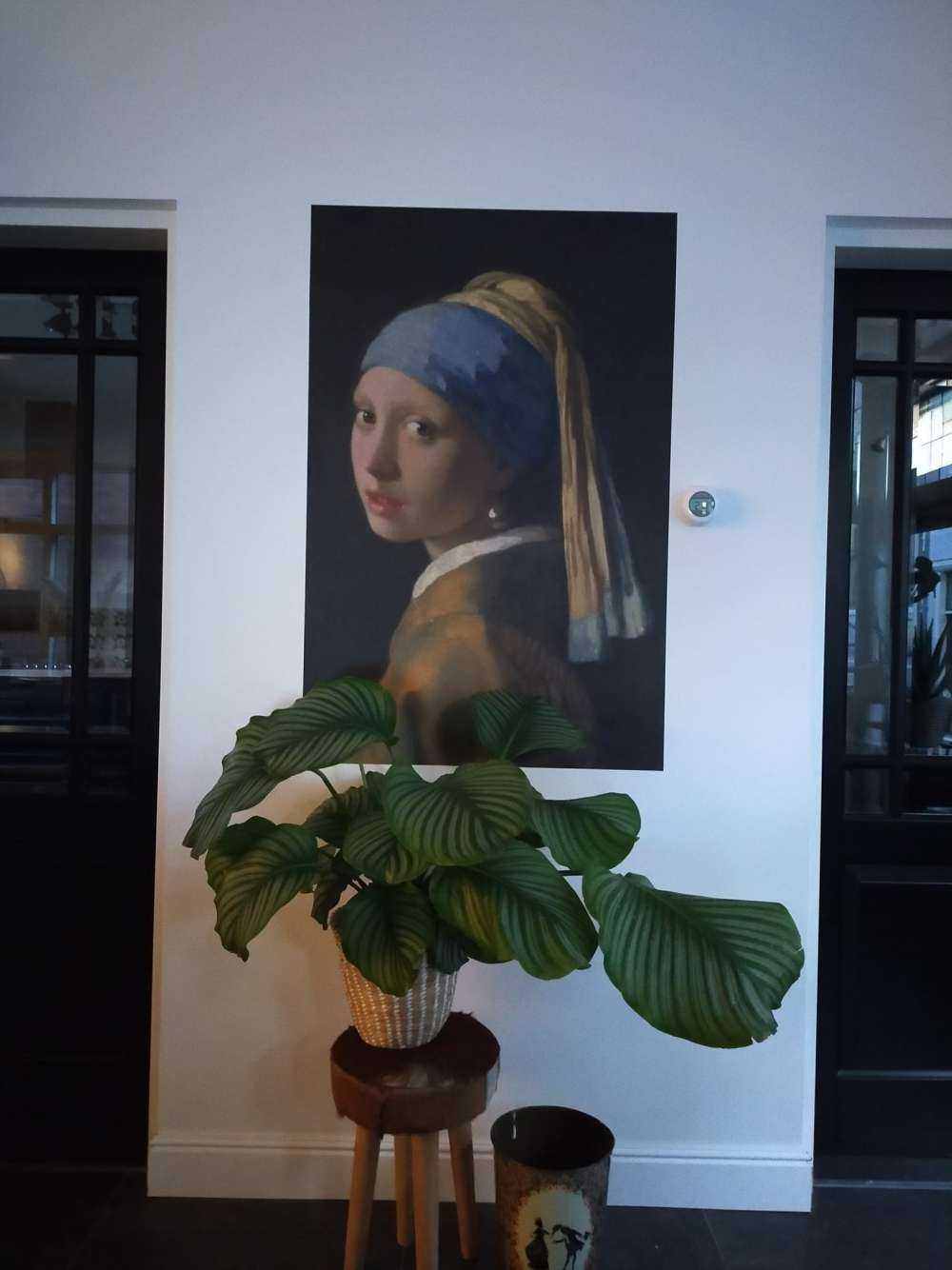 Ragazza con la perla