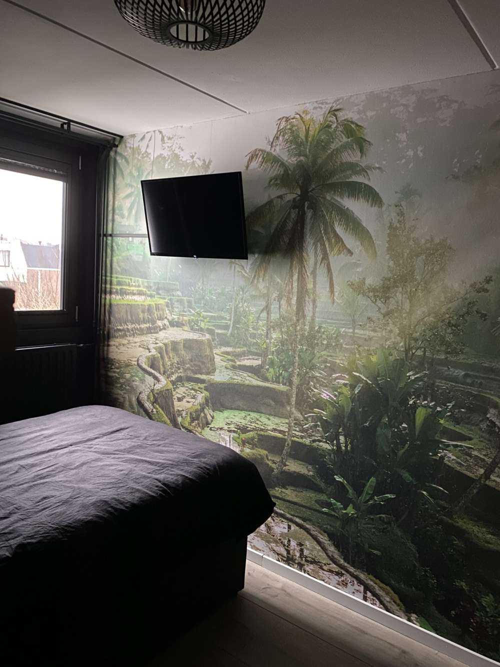 Campi di riso nella giungla