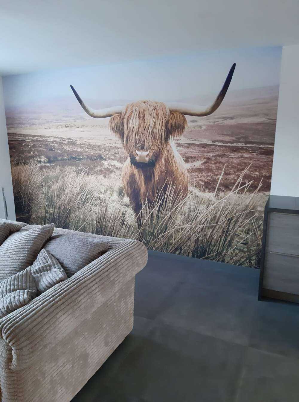 Highlander scozzese con canna