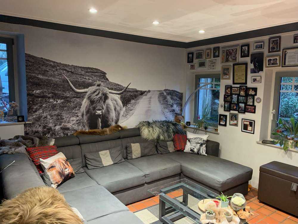 Highlander scozzese su una strada