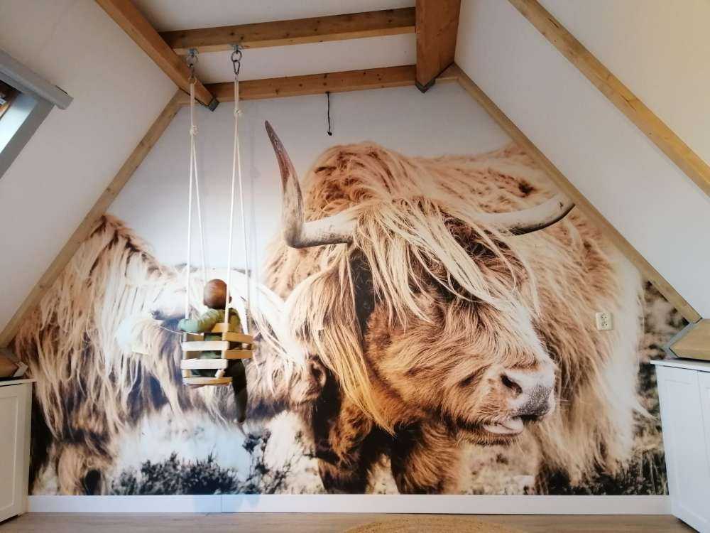 Due Highlander scozzesi