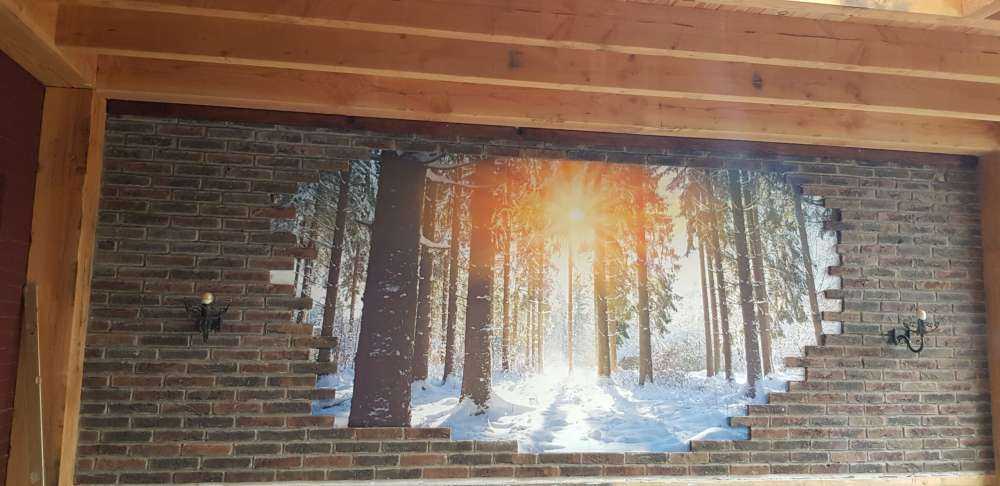 Luce del sole nella foresta d'inverno