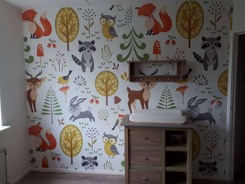 Animali nella foresta